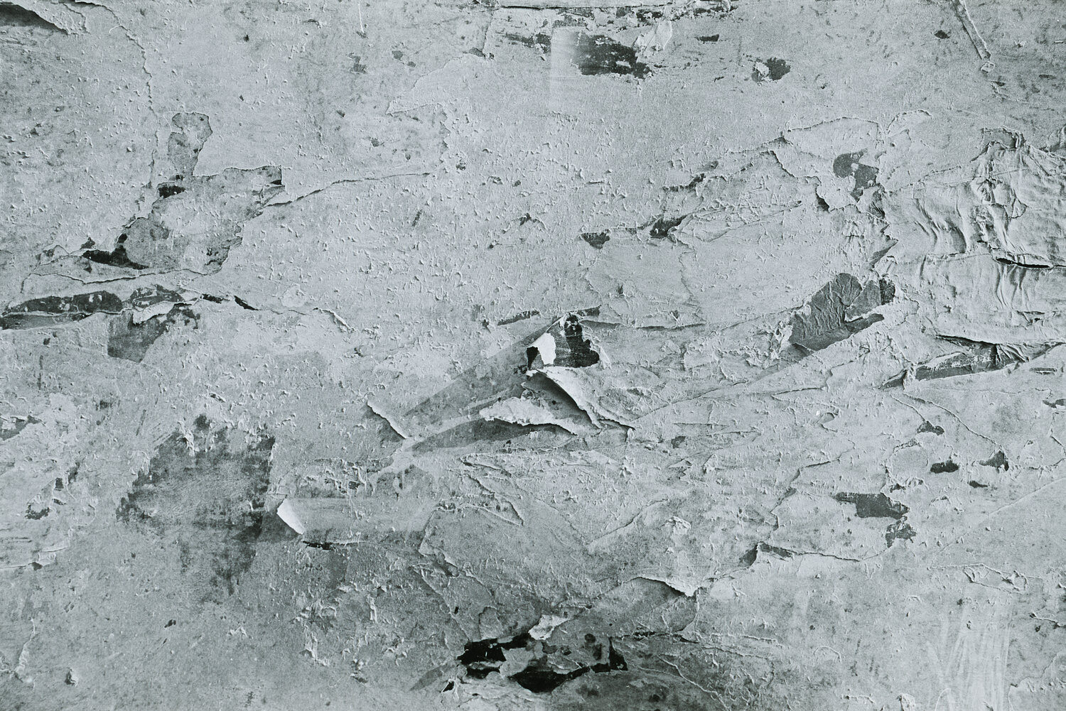 Various 2 - Wall Fritz Rumpf