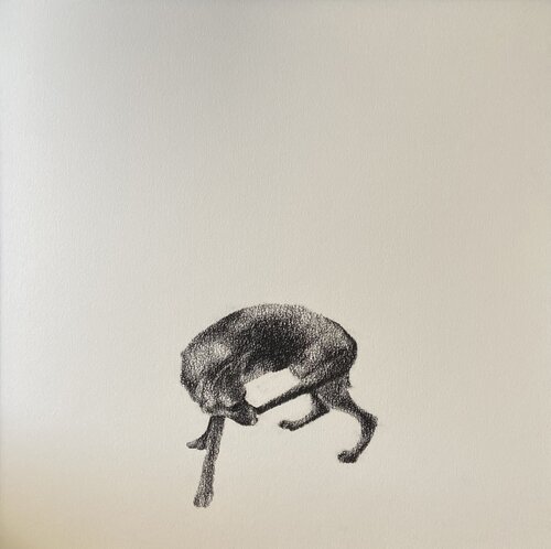 Atto senza soluzione von Daniela Di Lullo, Zeichnungen kaufen auf Singulart