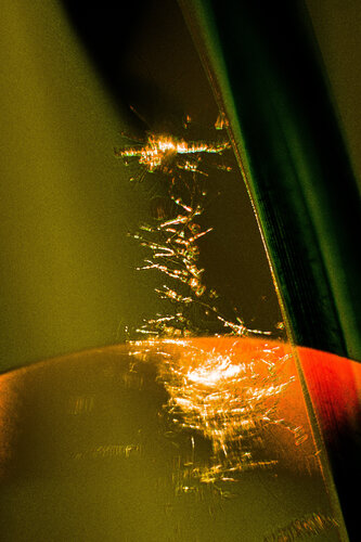 Arrival von Norbert Stein, Fotografie kaufen auf Singulart