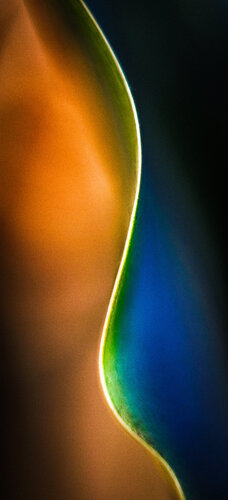 Between Silence and Light von Norbert Stein, Fotografie kaufen auf Singulart