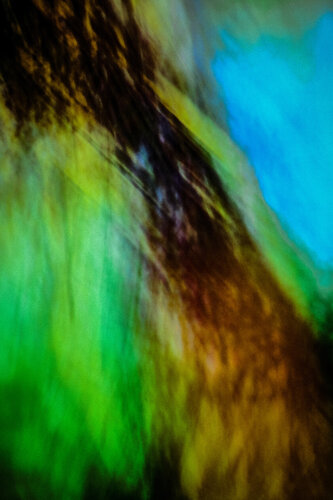 Veil of Earthlight I von Norbert Stein, Fotografie kaufen auf Singulart