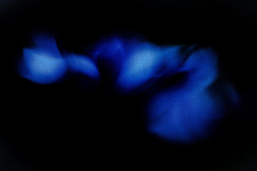 Blue Veil by Norbert Stein, 사진 for Sale on Singulart