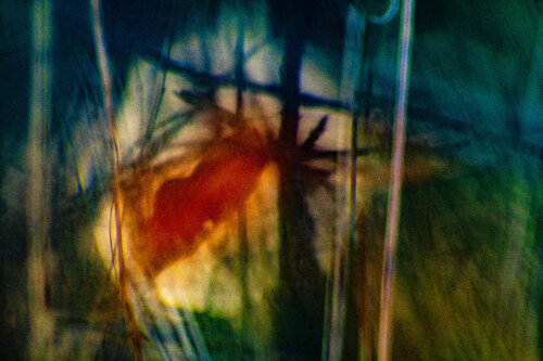 The Unseen di Norbert Stein, Fotografia in vendita su Singulart