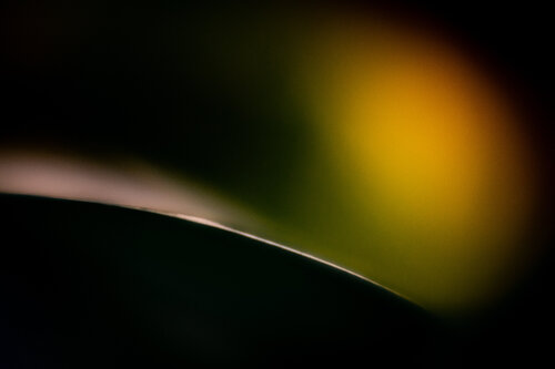 Silent Form Norbert Stein