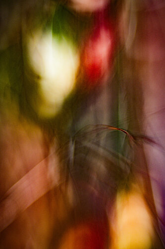 Fading Away van Norbert Stein, Fotografie te koop op Singulart