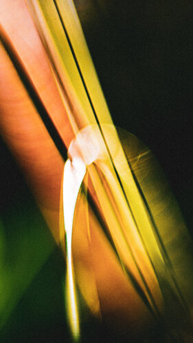 Solar Pulse von Norbert Stein, Fotografie kaufen auf Singulart
