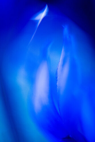Where the Blue Begins von Norbert Stein, Fotografie kaufen auf Singulart
