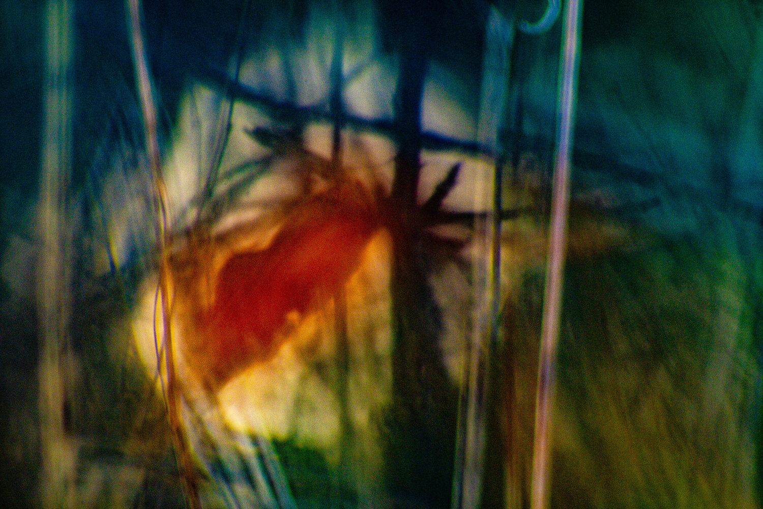 The Unseen Norbert Stein