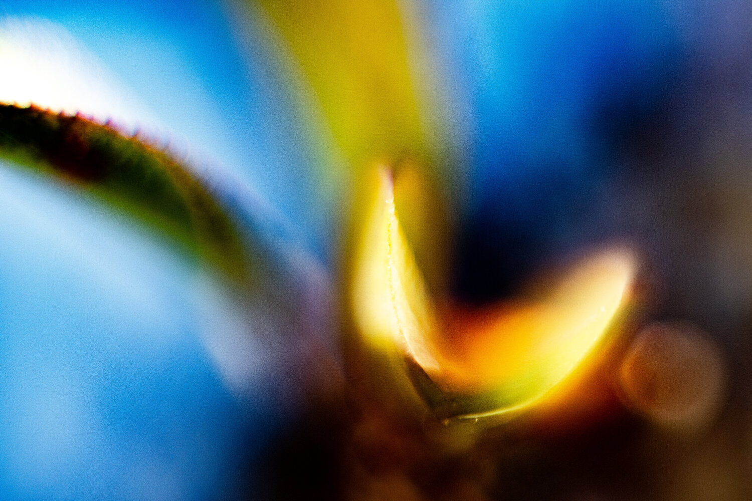Golden Unfolding Norbert Stein