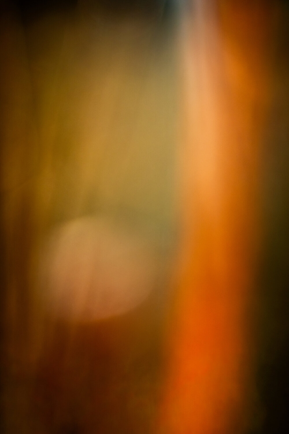 Veil of Amber Light Norbert Stein