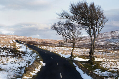 Road To Nowhere di Gearoid Coakley, Fotografia in vendita su Singulart