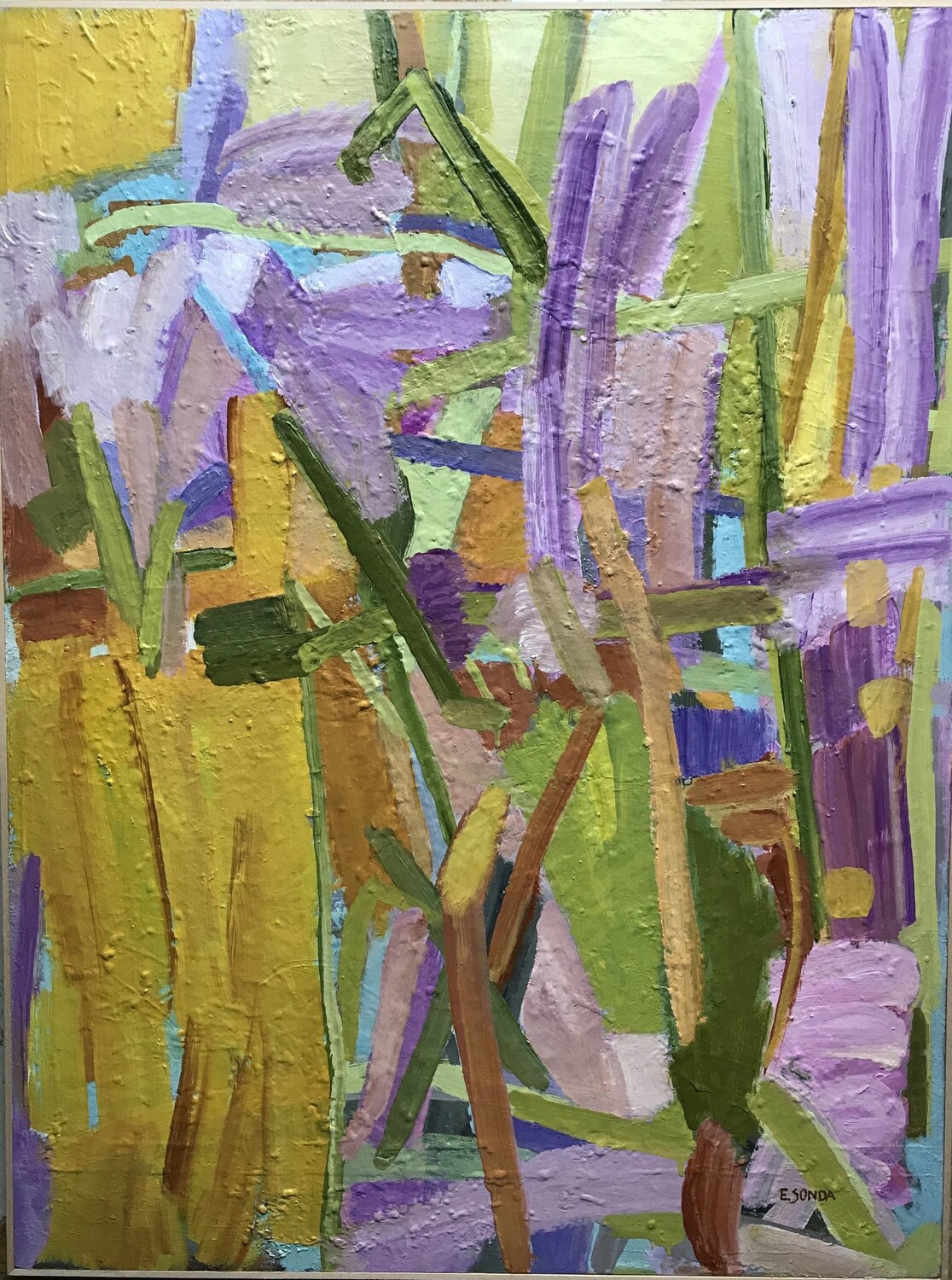 Iris Innominata Elisabetta Sonda