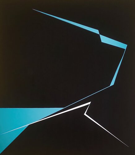 Divergence 2 Veronika Obushikhina Danilova