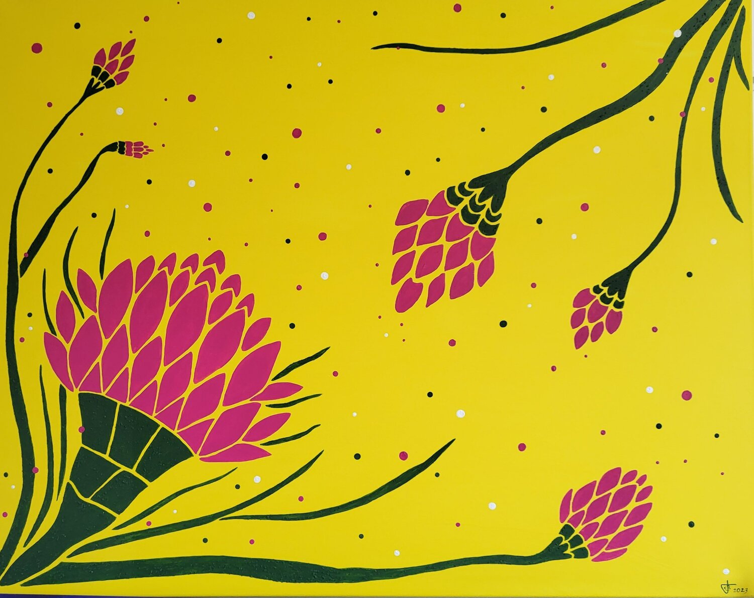 ROSES MADININA Cécile Biancheri