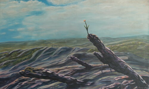 " Wald " Mocx Dabbert