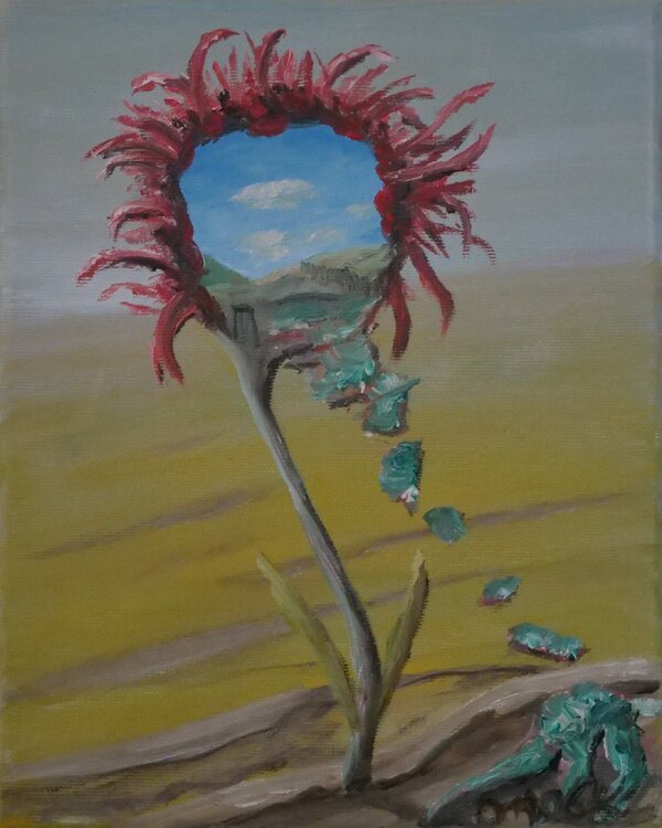 panorama blume Mocx Dabbert