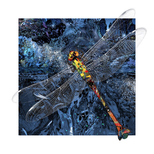 Dragonfly de Gregory Joy, Digital a la venta en Singulart