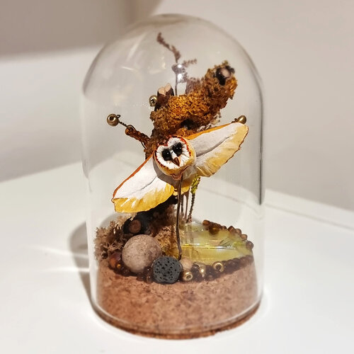 Barn Owl in a Dome II di Santa Perpetua, Altri media in vendita su Singulart