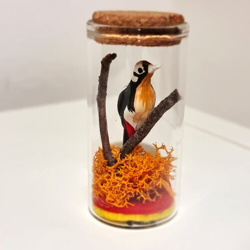 Woodpecker in a Dome VI di Santa Perpetua, Altri media in vendita su Singulart