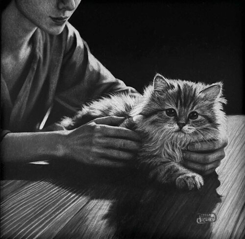 Women and Cats Will Do As They Please van Debra Keirce, Tekening te koop op Singulart
