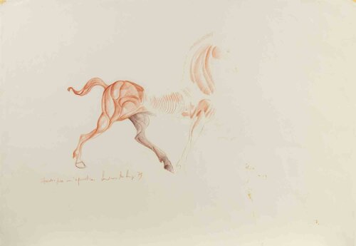  Horse (Studi per un Equestre) von Ludovico De Luigi, Werk auf Papier kaufen auf Singulart