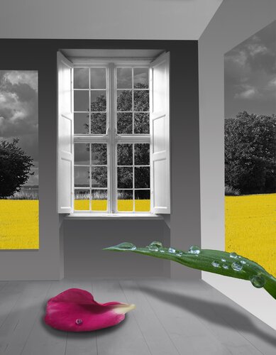 Der Innere Garten by Karin von Oldershausen, Print for Sale on Singulart