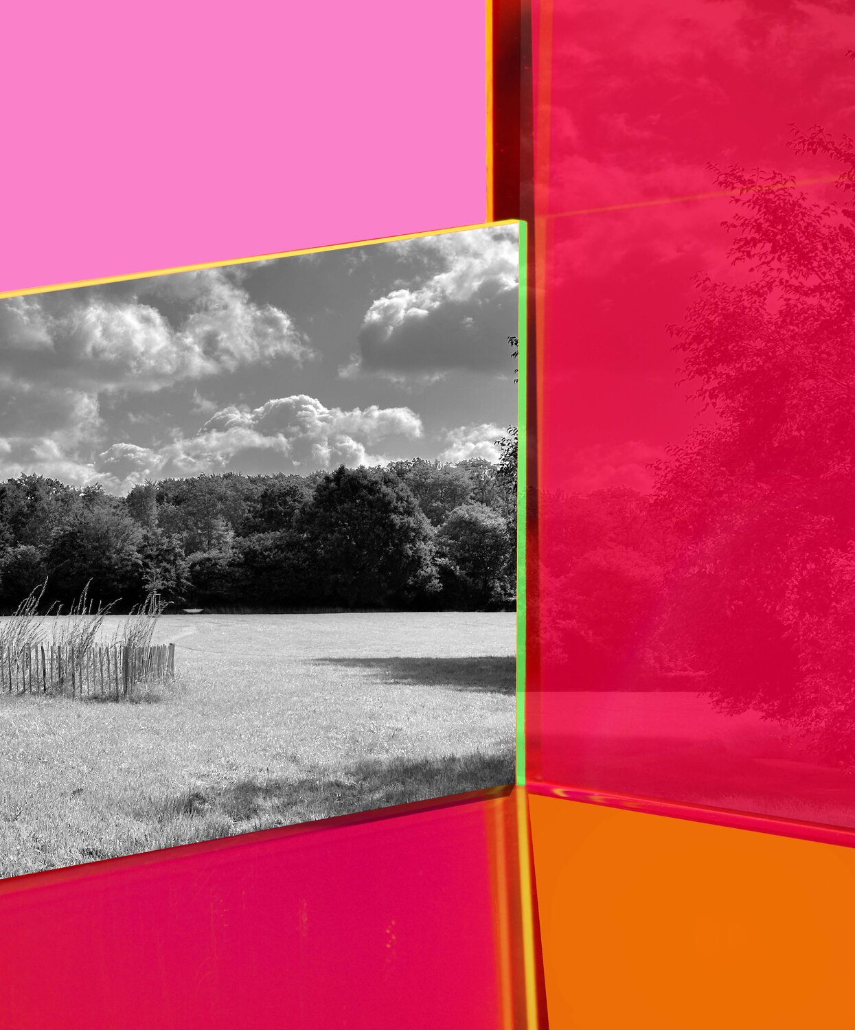Sommertag auf der Weide Karin von Oldershausen