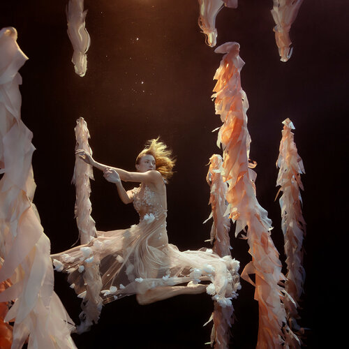 Identity di Mallory Morrison, Fotografia in vendita su Singulart