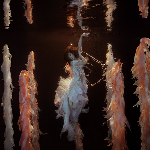 Beginnings di Mallory Morrison, Fotografia in vendita su Singulart