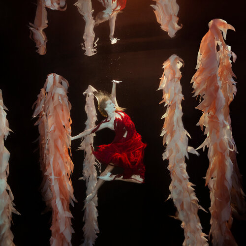 Onward di Mallory Morrison, Fotografia in vendita su Singulart