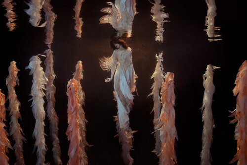 The Garden di Mallory Morrison, Fotografia in vendita su Singulart