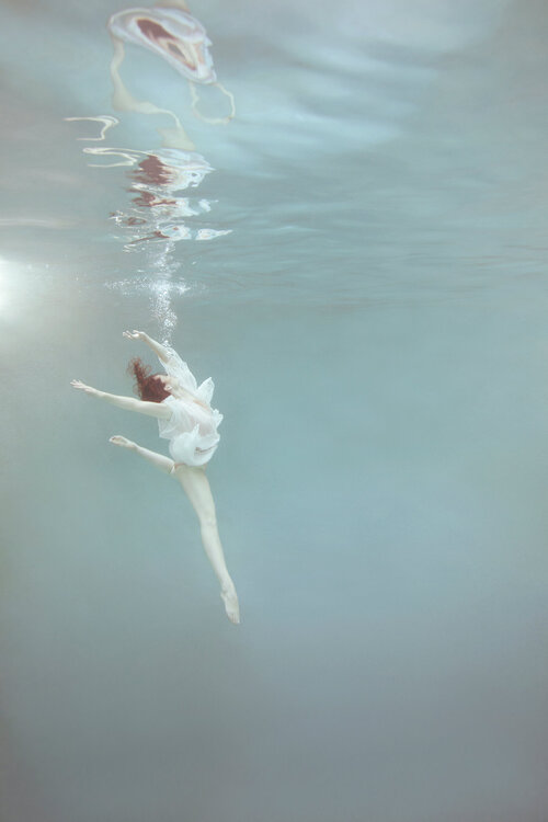 Abandon Mallory Morrison
