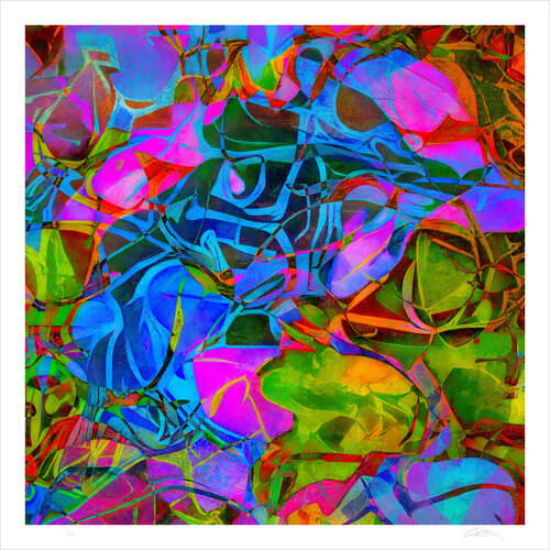 All Things Joyous — Catalog # AAS012 di Craig Blacklock, Stampa in vendita su Singulart