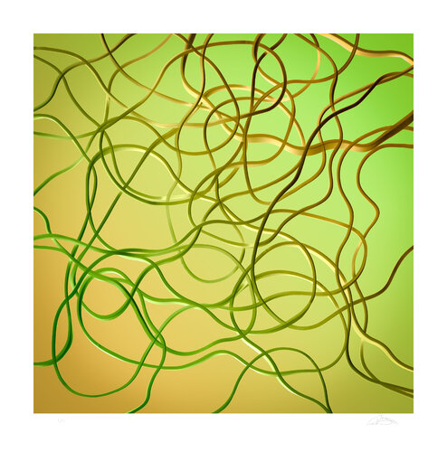 Threads of Summer by Craig Blacklock, Photography for Sale on Singulart