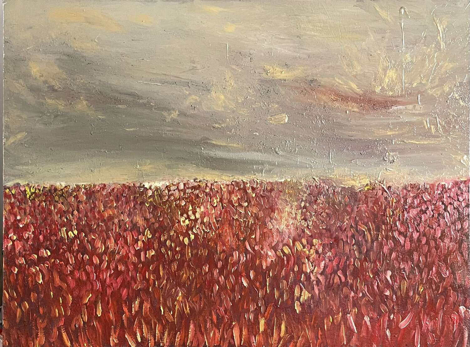 Red field on an odd Sky (may 2024) Techniques mixtes sur toile (60x80) Lemonnier Frederic Originalgemälde zu verkaufen
