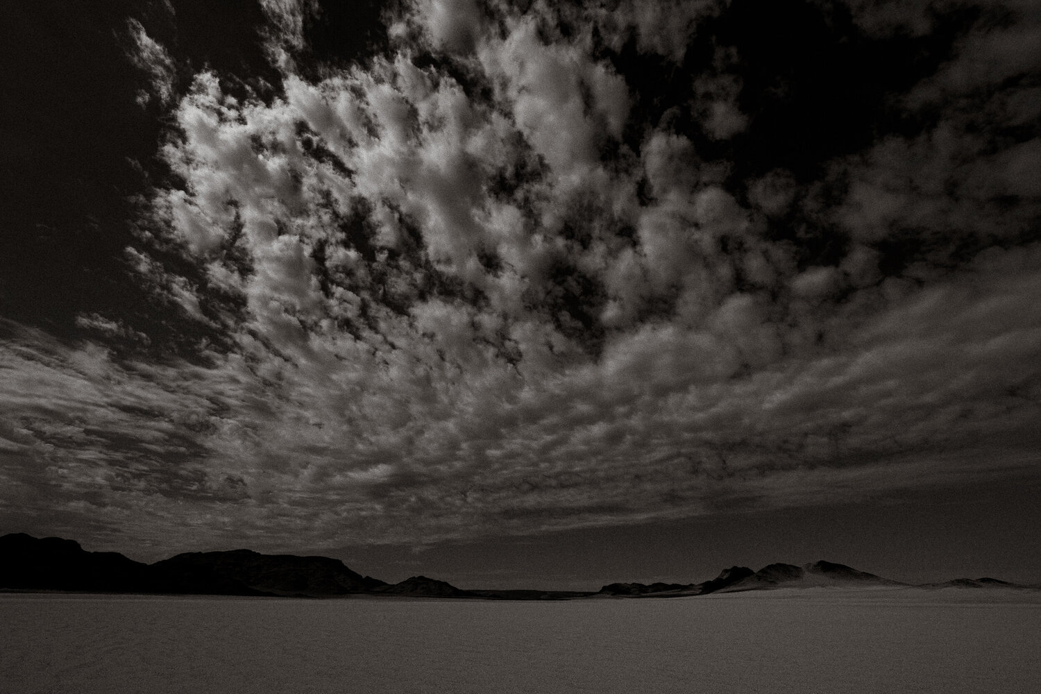 Fading Light Carine Doutrelepont