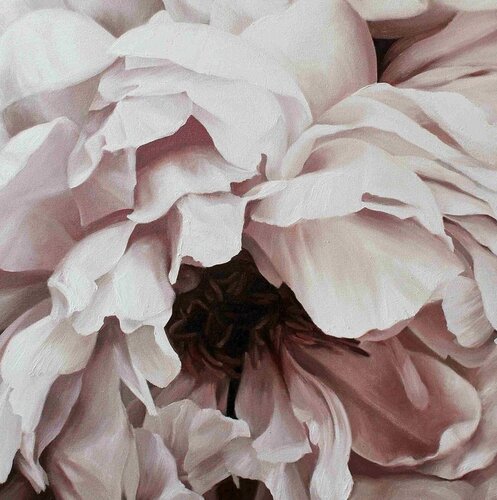 " Blossomed peony 2 "  Pink white flower oil art Yana Sagan