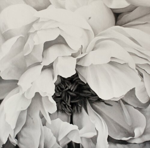 " Blossomed peony " Black white flower oil art von Yana Sagan, Malerei kaufen auf Singulart