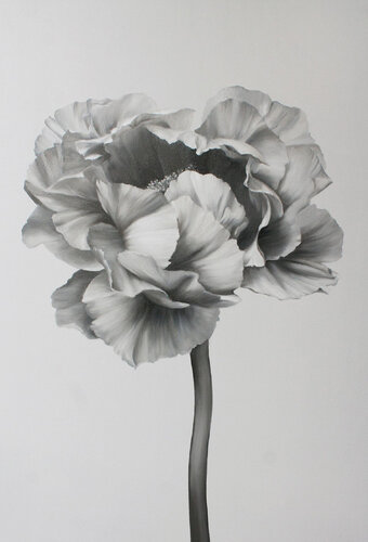 " Black and white peony 2 " White black flower oil art van Yana Sagan, Schilderij te koop op Singulart