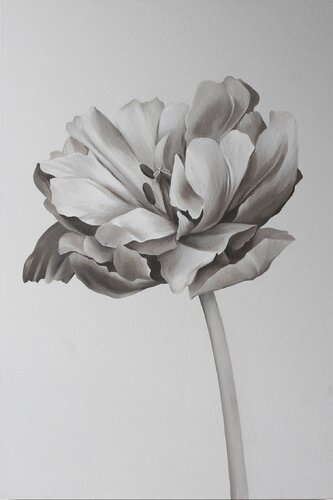 " Tulip " Black white oil flower van Yana Sagan, Schilderij te koop op Singulart