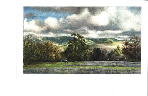 Horse in a landscape par Marie Pascal, Œuvre sur papier en vente sur Singulart