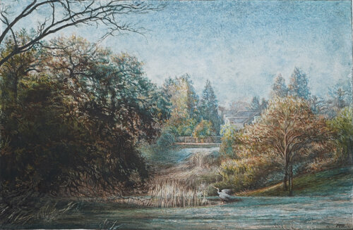 Le heron du marecage par Marie Pascal, Œuvre sur papier en vente sur Singulart