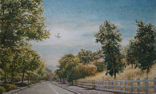 Bird over Foothill Road von Marie Pascal, Zeichnungen kaufen auf Singulart