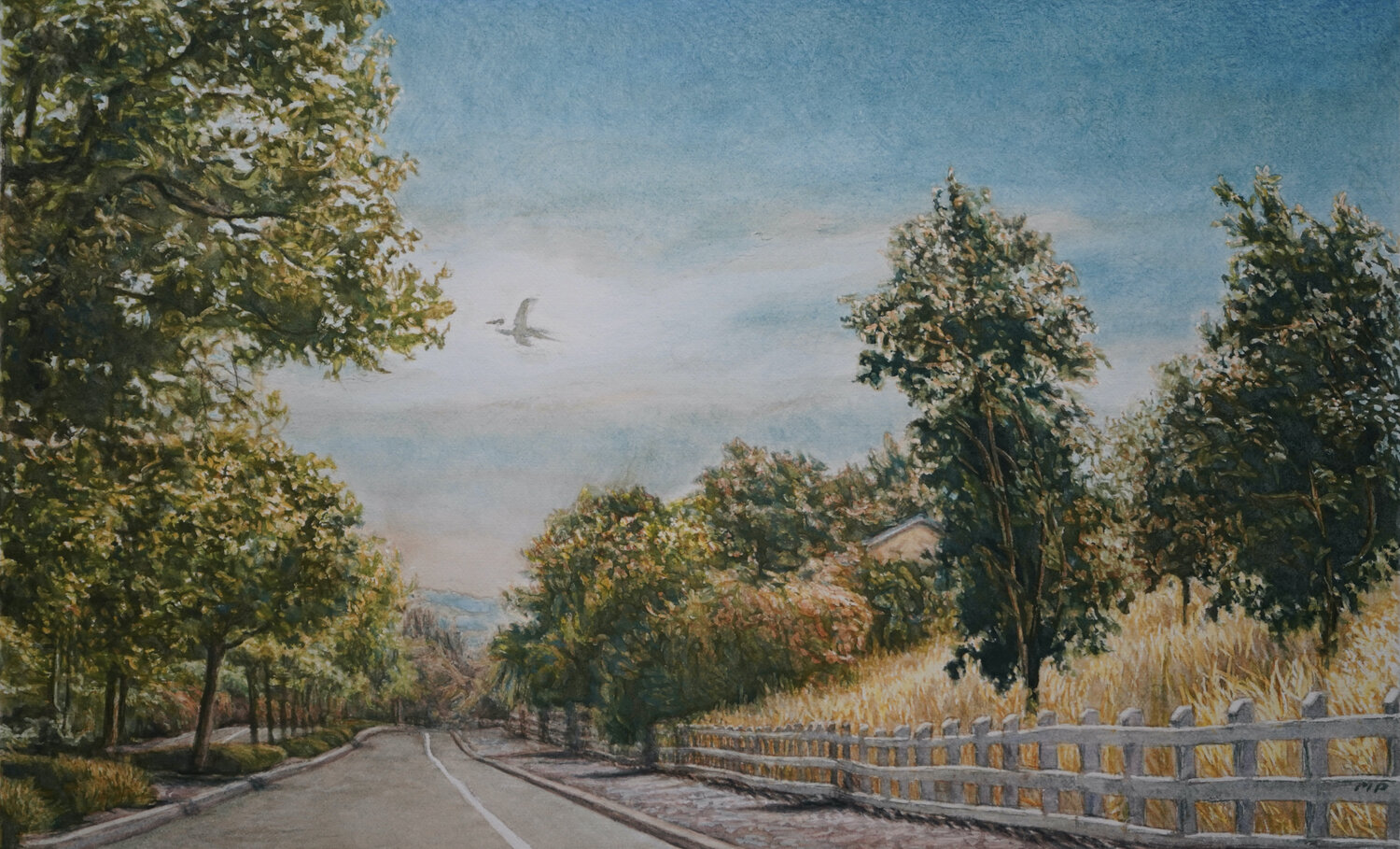 Bird over Foothill Road Marie Pascal