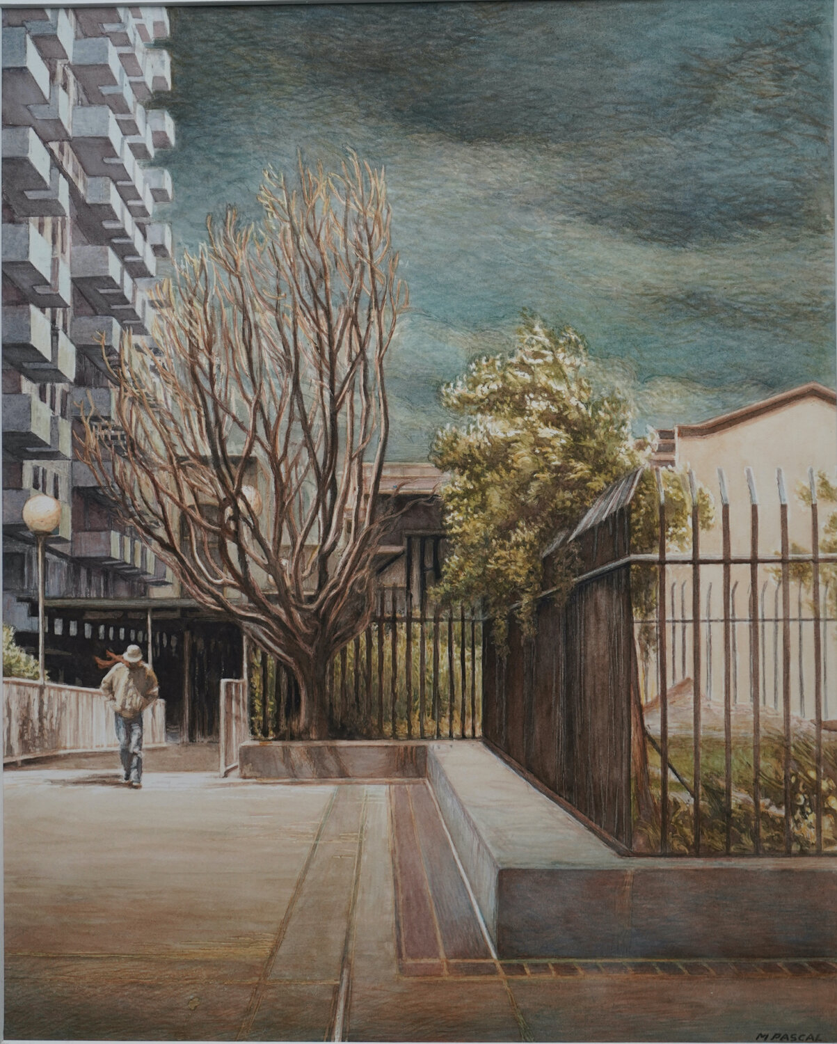 City Trees Marie Pascal
