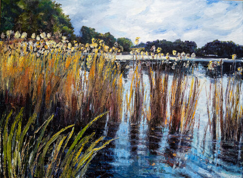 when the light rests Boguslawa Bryska