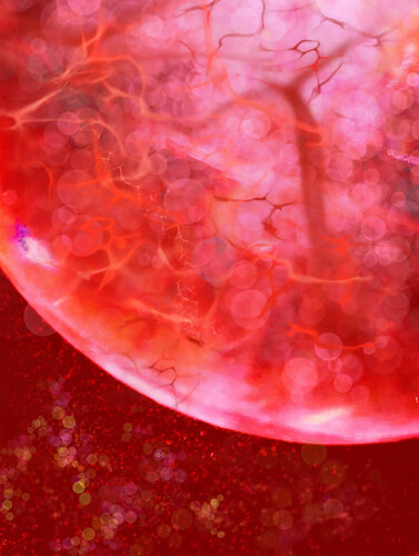 COSMIC EGG von SUSANA MAZZARINO JIMENEZ, Digital kaufen auf Singulart