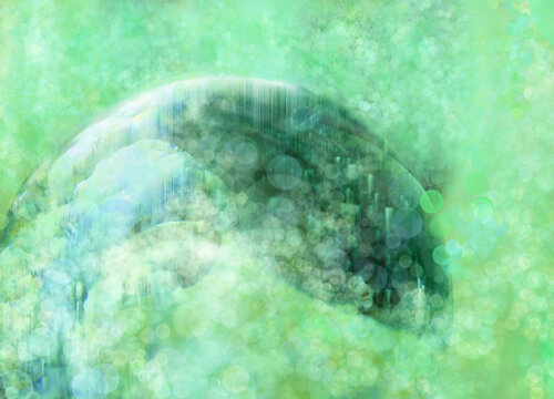 Light Forrest by SUSANA MAZZARINO JIMENEZ, Digital for Sale on Singulart