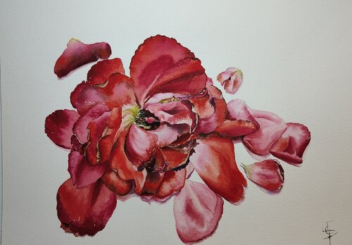 Rose rouge posée by Joëlle Poret, Work on Paper for Sale on Singulart