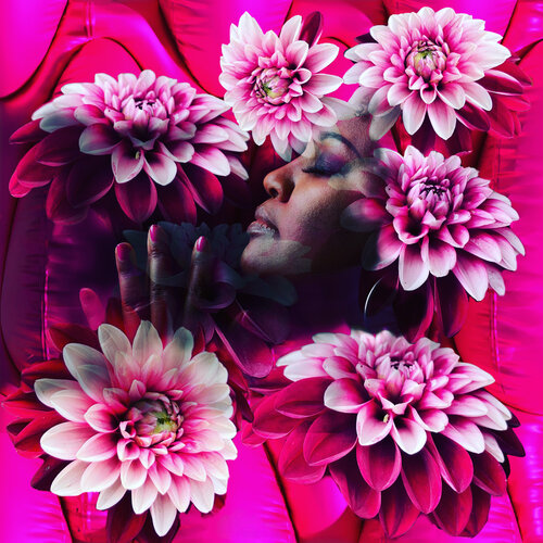 GRATEFUL by Gabriele Breu, 写真 for Sale on Singulart